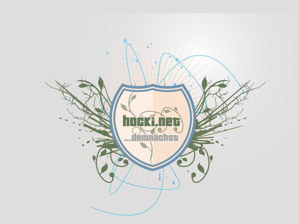 hocki.net